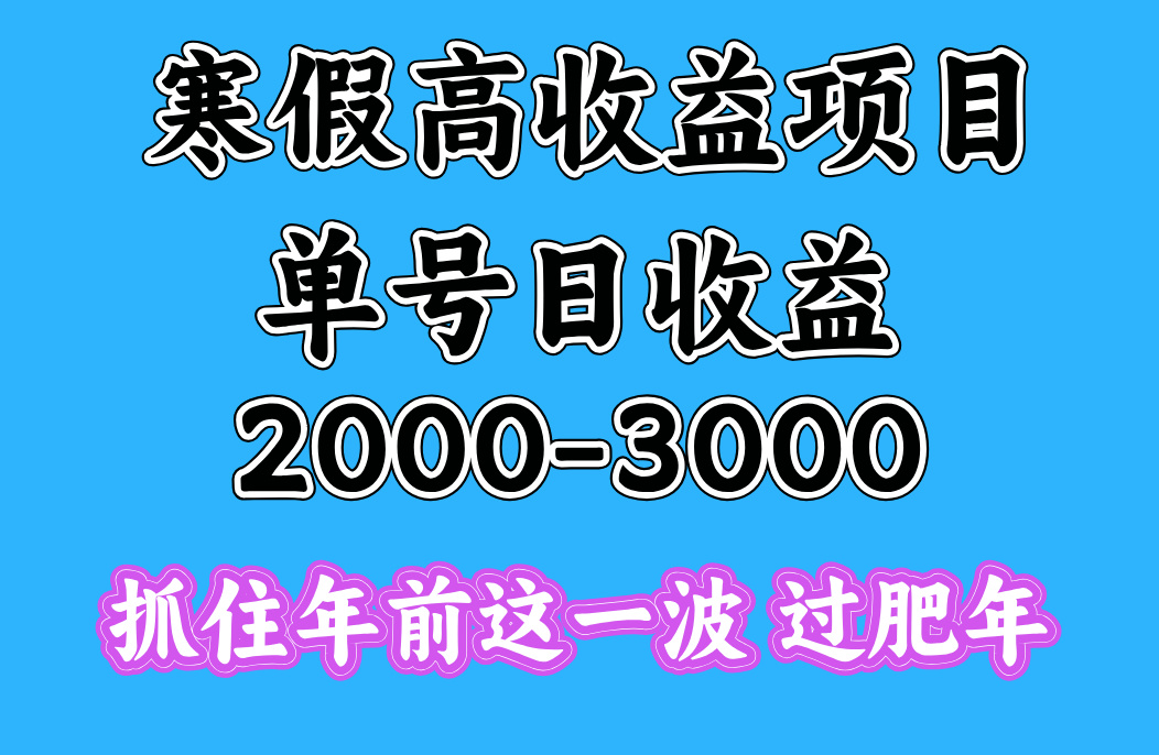 寒假期间一天收益2000-3000+,抓住年前这一波网创吧-网创项目资源站-副业项目-创业项目-搞钱项目网创吧