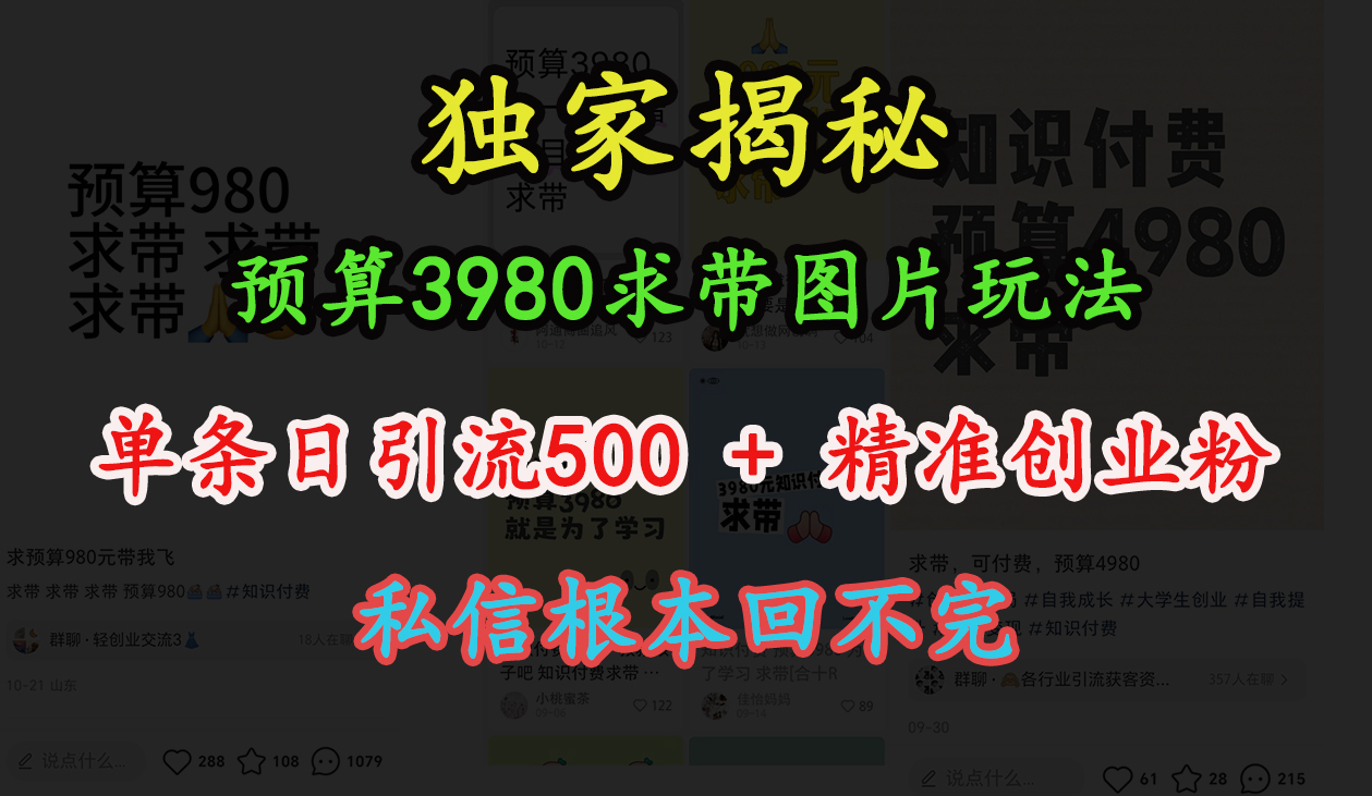 “小红书”预算3980求带 图片玩法,单条日引流500+精准创业粉,私信根本回不完网创吧-网创项目资源站-副业项目-创业项目-搞钱项目网创吧
