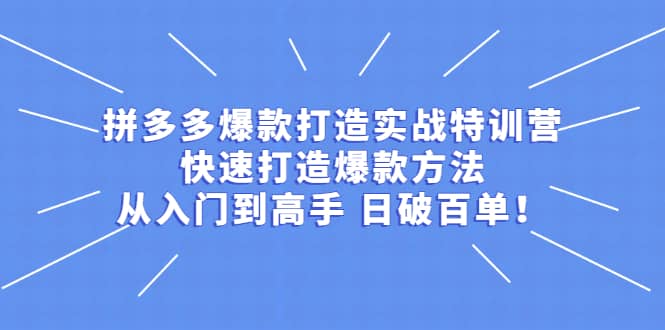 拼多多爆款打造实战特训营:快速打造爆款方法,从入门到高手 日破百单网创吧-网创项目资源站-副业项目-创业项目-搞钱项目网创吧