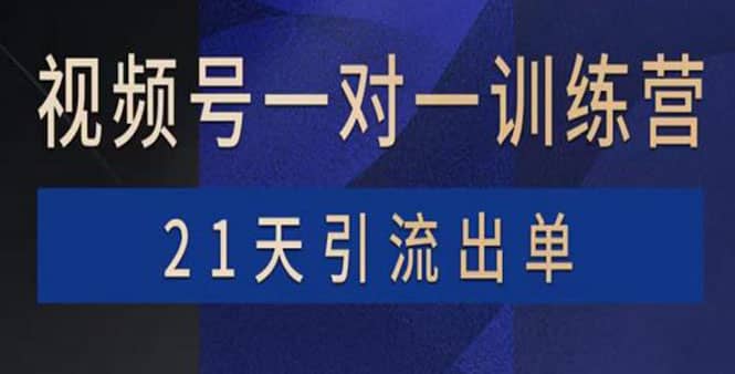 视频号训练营：带货，涨粉，直播，游戏，四大变现新方向，21天引流出单网创吧-网创项目资源站-副业项目-创业项目-搞钱项目阿辉网创资源
