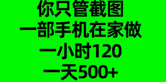 你只管截图,一部手机在家做,一小时120,一天500+阿辉网创资源-网创项目资源站-副业项目-创业项目-搞钱项目阿辉网创资源