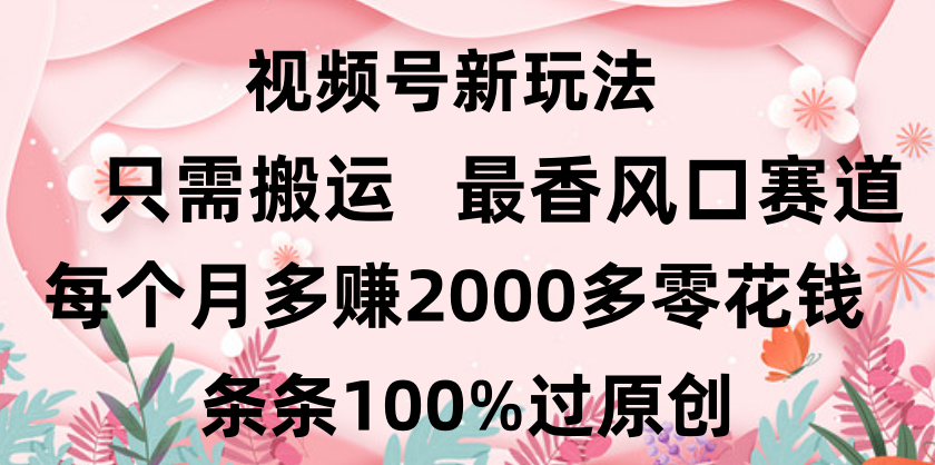 日入2000+，条条100%过原创，视频号最香风口赛道，小白轻松上手网创吧-网创项目资源站-副业项目-创业项目-搞钱项目网创吧